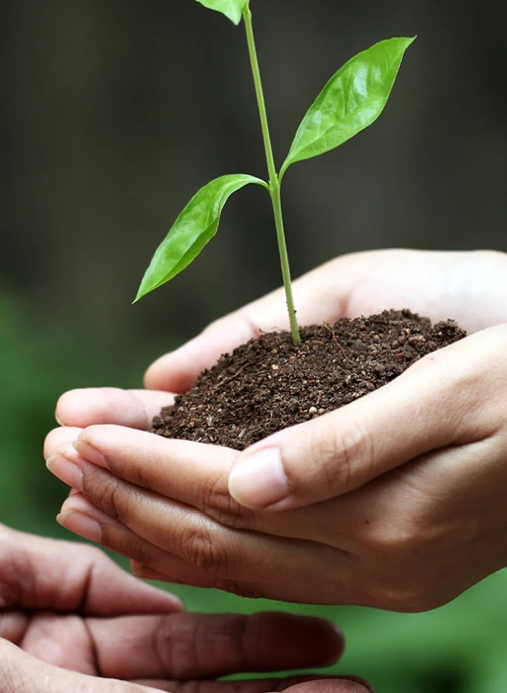 Planned Giving Denver YMCA