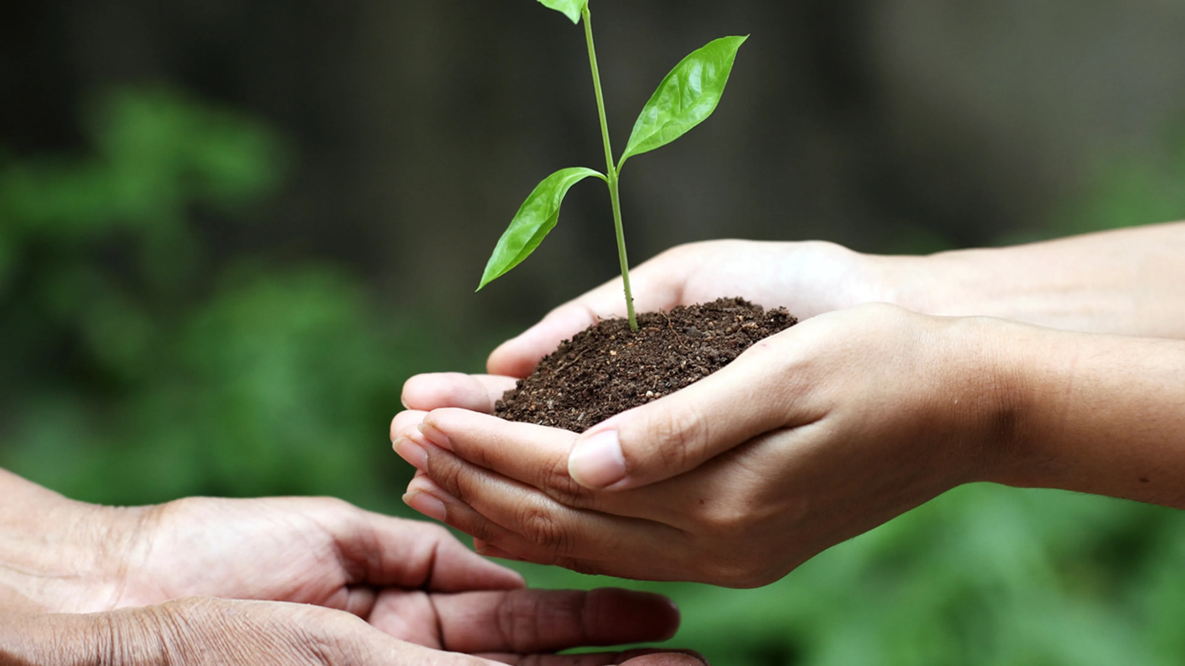 Planned Giving Denver YMCA